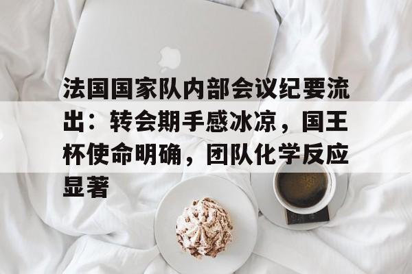 九游官方-法国国家队内部会议纪要流出：转会期手感冰凉，国王杯使命明确，团队化学反应显著的简单介绍