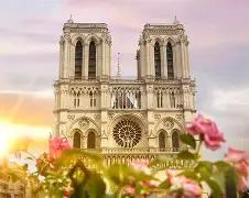 九游官方-多特蒙德01勒沃库森